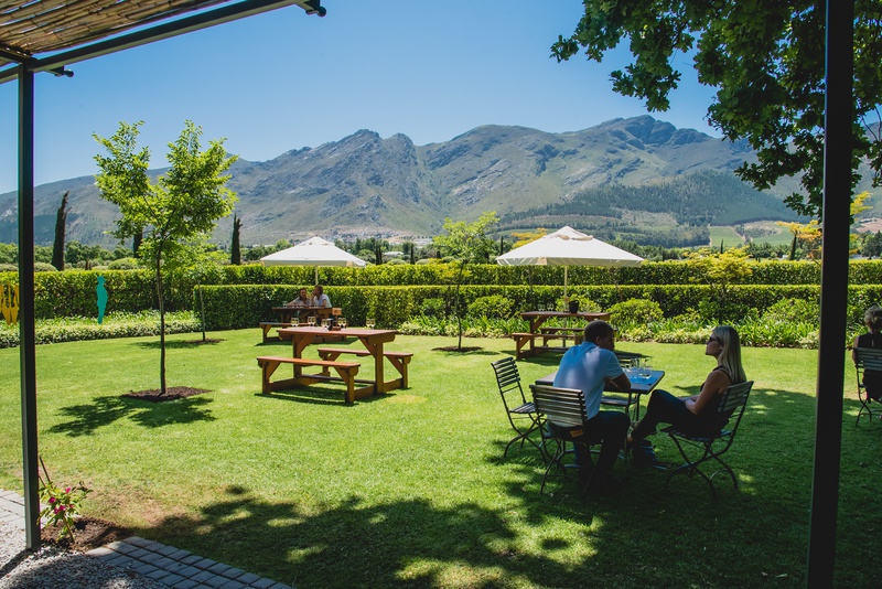Top 10 Weinguter Sudafrika Stellenbosch Franschhoek Kapstadt